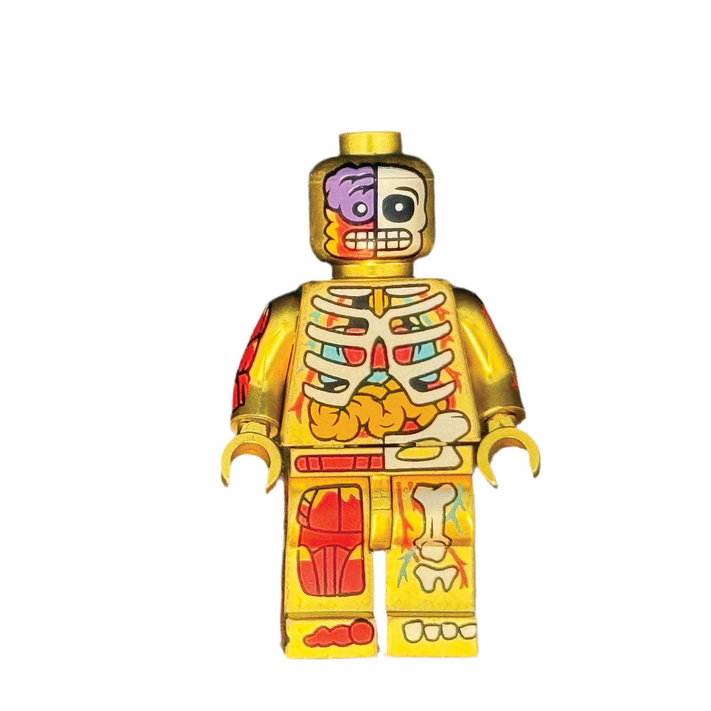 Notal'Ego Minifigure BONES BROS. - GLINT