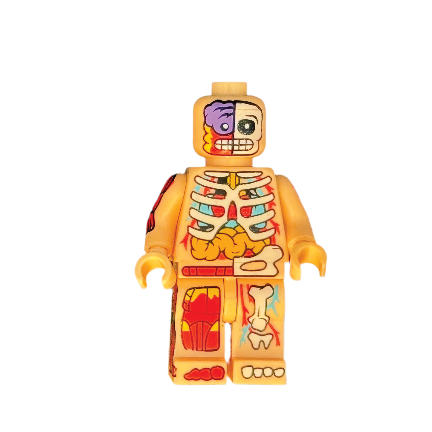 Notal'Ego Minifigure BONES BROS. - SKINZ
