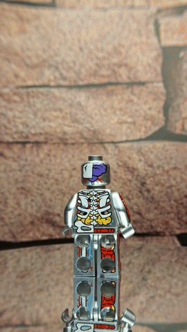 Notal'Ego Bones Bros. Tintin minifigure, view 2